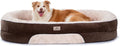 PetFun Orthopedic Dog Bed Couch for Large Sized Pets with Egg Foam Support, Four-Sided Bolster Cushions, Soft Tear-Resistant Fabric, and Removable Machine Washable Plush Cover