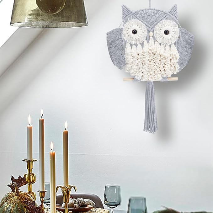 FREEBLOSS Macrame Owl Kit for Beginners Macrame Owl Wall Hanging Light Grey DIY Macrame Kit with Video Tutorial Macrame Hanging Decor for Adults Gift