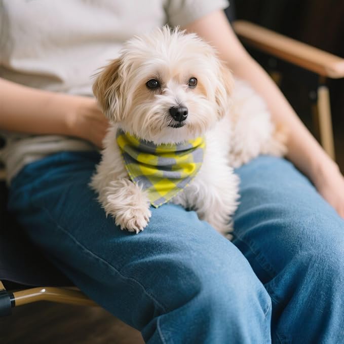 Pemilosci Double Layers Two Tones Dog Cotton Square Bandana Bibs Scarf Kerchief for Small Medium Dogs Boy or Girl - DCB16 G&G