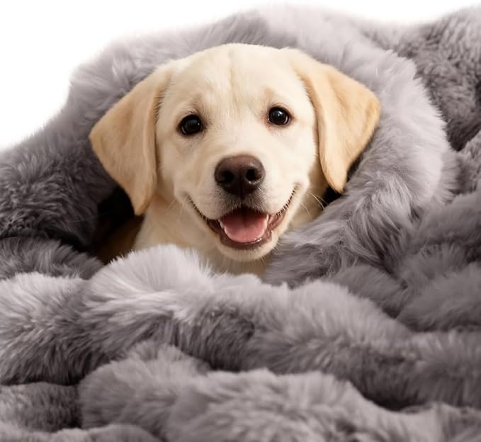 SOMAHE Dog Blanket Self-Warming Throw for Medium & Large Dogs, Dual-Side Sherpa Plush, Thick Crate Bed Cover & Car Seat Mat, Anti-Static Machine Washable No Shrink, 39x30 Inch Gray