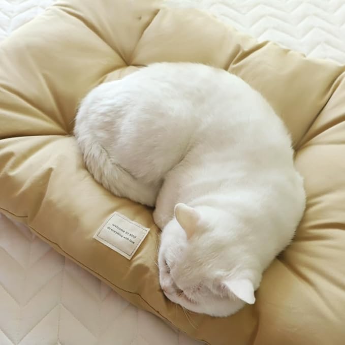 SHENGOCASE 2-Pack Soft Cat Kneading Pillow Cushion Bed with Ties for Cat Dog House Perch Shelf, Cushion Pad Padding for Cage Kennel