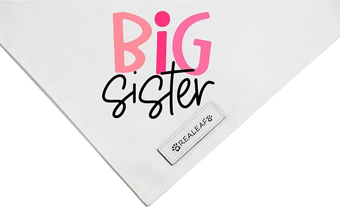 Realeaf Big Brother Big Sister Dog Bandanas Pet Scarf for Medium and Large Dogs New Baby Announcement Pet Accessories Pregnancy Reveal Ideas (Small)