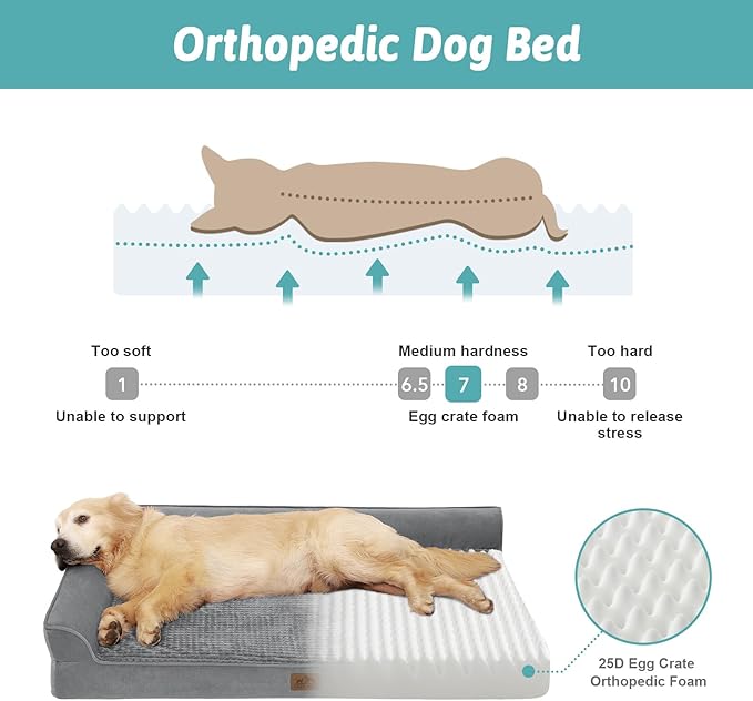 COZY KISS Orthopedic Dog Bed for Extra Large, XXL Dogs Bed, L Shaped Foam Anti-Slip Bottom Giant Pet Cat Sofa with Washable Cover, Suitable for Pet Up to 150 lbs, 48x35x8 inch, Grey ﻿