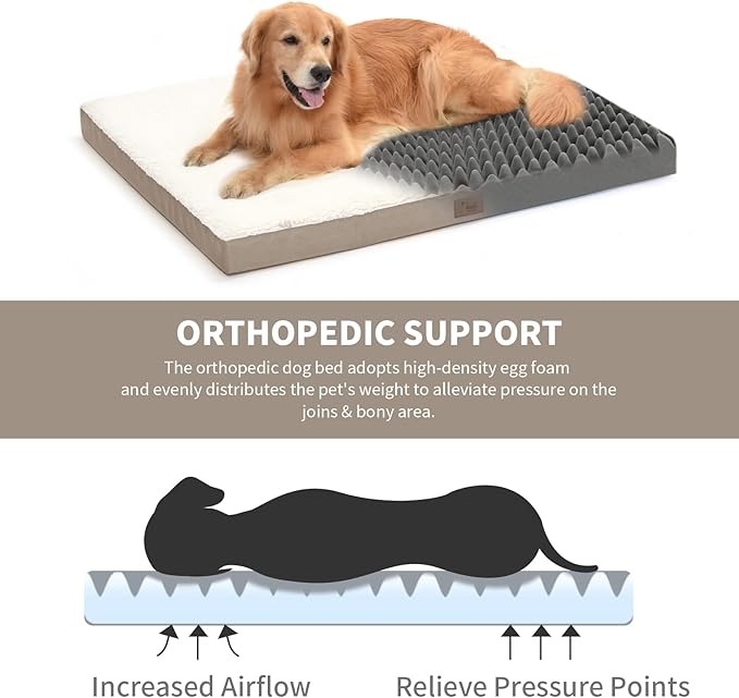 Tail Stories Plush Orthopedic Dog Bed for Medium Dogs & Puppies, Waterproof Dog Beds 30x20 Inch with Removable Washable Cover, Egg Crate Foam Flat Pet Mat, Khaki White