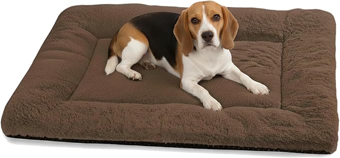 ZENGAOOU Dog Crate Pad 36 Inch, Washable Plush Crate Mat for Medium Dogs, Non Slip Kennel Pad for Metal Wire Crates, Cushioned Support for Indoor Use, Brown
