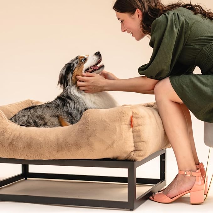 FUZI Elevated Dog Bed Small, Luxury Raised Dog Beds, Removable and Machine Washable Bed Cover, Indoor/Outdoor Orthopedic Pet Bed, Small 25.1x16.75x18 Light Brown & Black Base