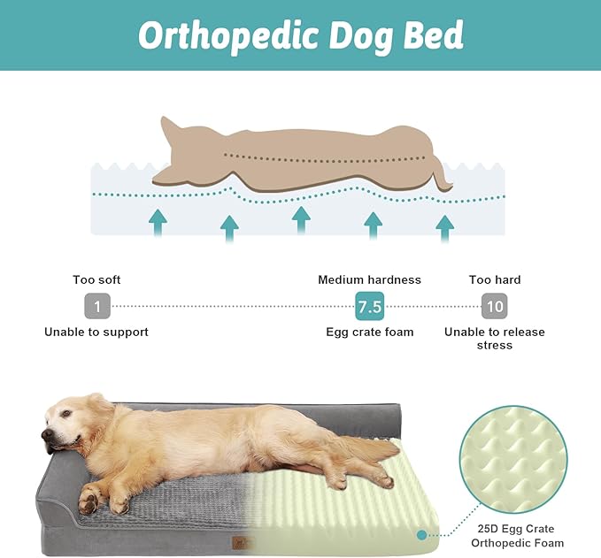 COZY KISS Orthopedic Dog Bed for Extra Large, XXL Dogs Bed, L Shaped Foam Anti-Slip Bottom Giant Pet Cat Sofa with Washable Cover, Suitable for Pet Up to 150 lbs, 48x32x7.5 inch, Grey