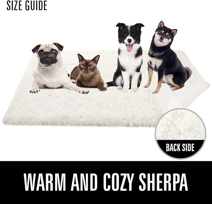 LOCHAS Luxury Fluffy Dog Blanket, Extra Soft and Warm Sherpa Fleece Pet Blankets for Dogs Cats, Plush Furry Faux Fur Puppy Throw Cover, 30''x40'' Cream White