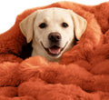 SOMAHE Dog Blanket Self-Warming Throw for Medium & Large Dogs, Dual-Side Sherpa Plush, Thick Crate Bed Cover & Car Seat Mat, Anti-Static Machine Washable No Shrink, 39x30 Inch Orange