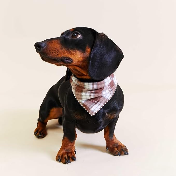 Pemilosci Double Layers Two Tones Dog Cotton Square Bandana Bibs Scarf Kerchief for Small Medium Dogs Boy or Girl - DCB06 B&B