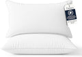 Delara Pillows for Sleeping Set of 2 Bed Pillows, Organic Cotton 300TC Shell, Recycled Down Alternative Fill, Supportive for Back and Side Sleepers, Hypoallergenic & Breathable