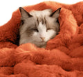 SOMAHE Self-Warming Cat Blanket, Dual-Side Plush Sherpa Throw with Anti-Static, Snuggle Mat for Kittens & Cats, Cozy Bed Topper for Windowsills & Couches, Machine Washable & Dryable, 21x18 Inch Orange
