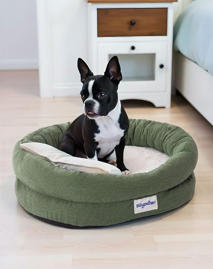 bilypaws Orthopedic Dog Bed for Small Dogs, Pet Sofa Bed with Egg Crate Foam, 4-Sided Bolster, Removable Washable Cover & Anti-Slip Bottom, Small Calliste Green