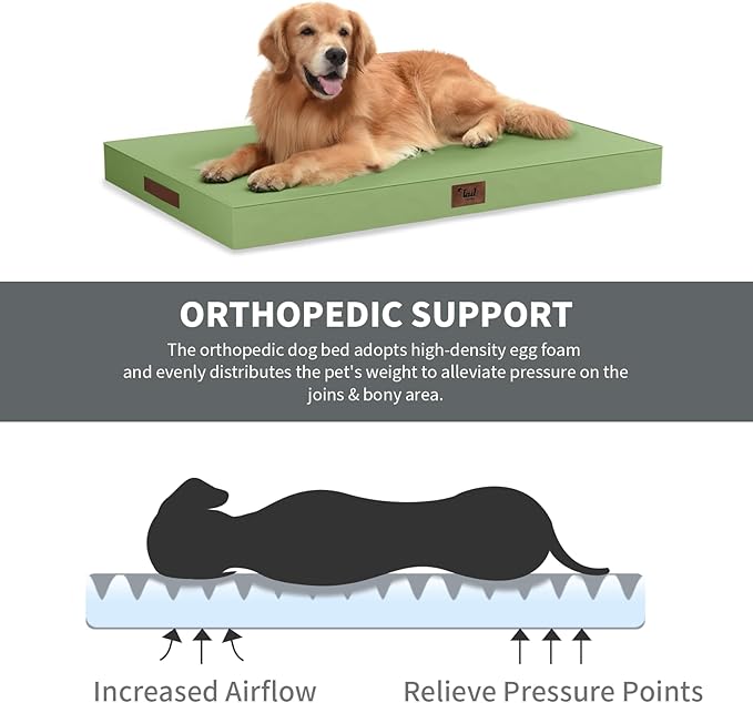 Tail Stories Outdoor Dog Bed for Small Dogs, Waterproof Dog Crate Bed for Medium Dogs Cats, Orthopedic Egg Crate Foam Pet Bed with Washable Removable Oxford Cover, Light Green