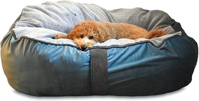 COZY ONE Mia Collection Self-Warming Oval Dog Bed - Ultra-Soft Plush Dream Pet Bed with Removable Velvet Cover - Cozy Dog Beds for Small Dogs (27x24x8 Inch, Blue) - Made in USA