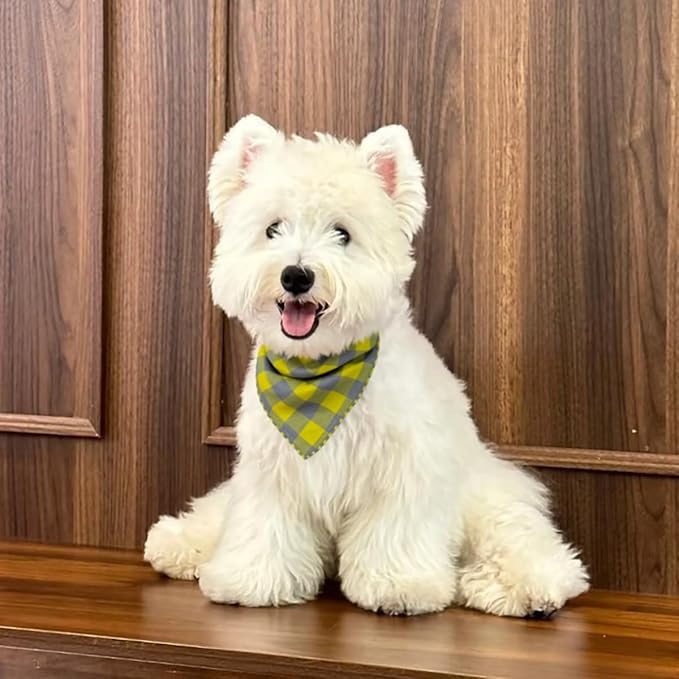 Pemilosci Double Layers Two Tones Dog Cotton Square Bandana Bibs Scarf Kerchief for Small Medium Dogs Boy or Girl - DCB16 G&G