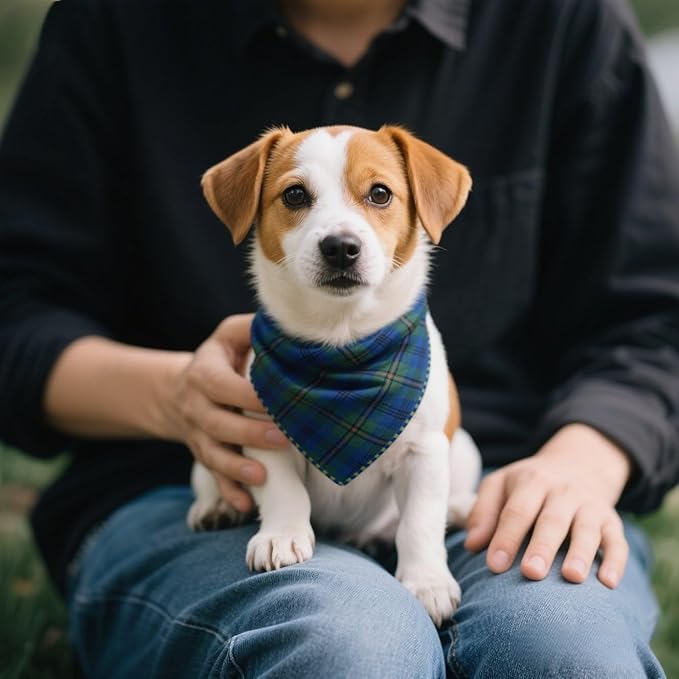 Pemilosci Double Layers Two Tones Dog Cotton Square Bandana Bibs Scarf Kerchief for Small Medium Dogs Boy or Girl - DCB25 B&G