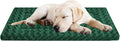 WITTOP Washable Dog Bed Plush Orthopedic Outdoor Crate Mat with Non-Slip Bottom,Luxe Soft Kennel Pad for Pets,Cozy Cage Cushion & Pet Sleeping Mattress Large Sized,Medium,Small Dogs,30 x 20 inch,Green
