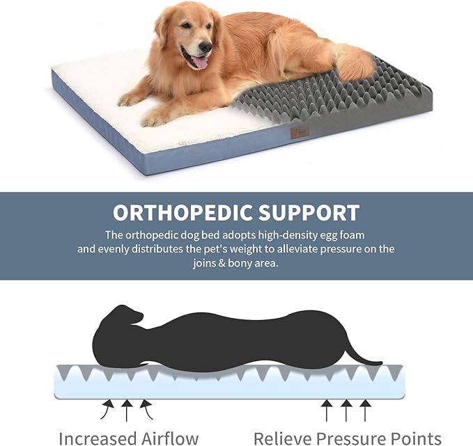 Tail Stories Orthopedic Dog Bed for Extra Large Dogs, XL Comfort Pet Mat for Large Sized Dog 44x32 Inch, Egg Crate Foam with Removable Washable Oxford Cover, Blue White