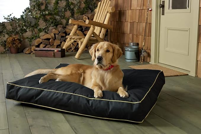 Dalema Dog Bed Cover,Waterproof Tough Plastic DIY Pet Bed Cover,Non Stick Hair Easy to Clean Rectangular Fillable Dog Bed Covers with Zipper(Black,44" L x 32" W x 4" Th,Cover Only)