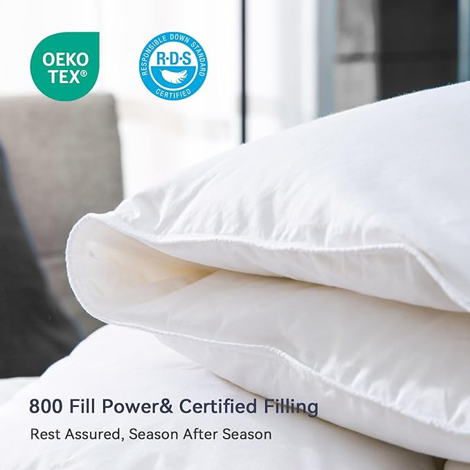 Globon Queen Goose Down Comforter,800 Fill Power All Seasons Luxury Duvet Insert,420 Thread Count Soft Noiseless Shell, Medium Weight with 8 Corner Tabs, White