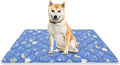 Bubble bear Dog Crate Mat - Ultra Soft, Washable & Anti-Slip Kennel Pad for Small/Medium/Large Dogs, Dark-Hued to Hide Stains (30"x19")