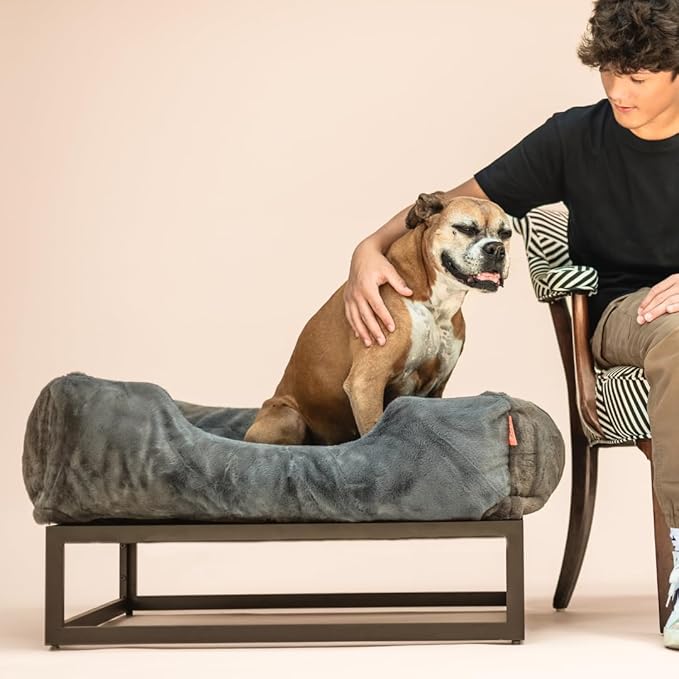 FUZI Elevated Dog Bed, Luxury Raised Dog Beds, Removable and Machine Washable Cover, Indoor/Outdoor Orthopedic Pet Bed, Dark Grey & Black Base Small 25.1x16.75x18