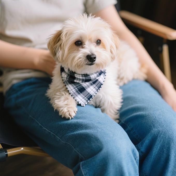 Pemilosci Double Layers Two Tones Dog Cotton Square Bandana Bibs Scarf Kerchief for Small Medium Dogs Boy or Girl - DCB05 B&G