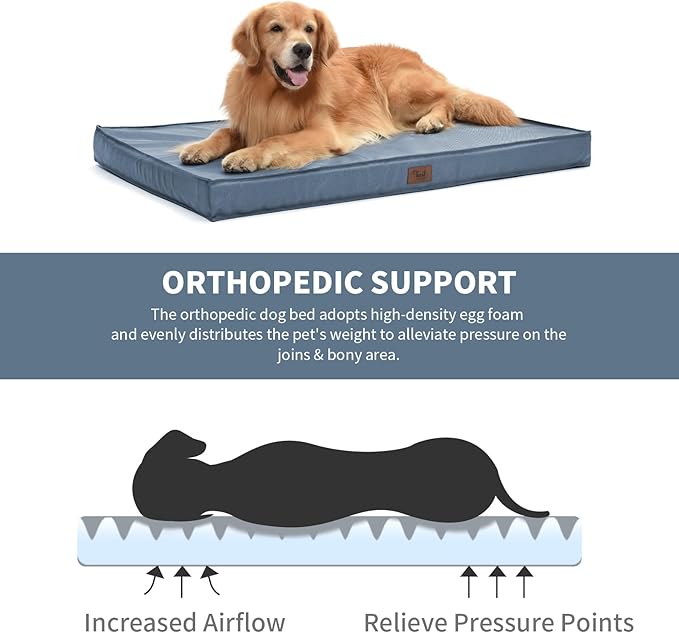 Tail Stories Outdoor Orthopedic Dog Bed for Medium Dogs & Cats, Waterproof Flat Pet Mat with Egg Crate Foam & Washable Removable Oxford Cover, 30x20 Inch, Blue
