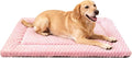 Fogkiss Dog Bed Mat, Reversible Dog Crate Pad - Washable Kennel Mat with Soft Support Foam, Flat Kennel Pad for Dogs & Cats, Double Pet Bed Perfect for Cage (Pink, 35" L x 23" W x 0.8" Th)