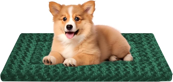 WITTOP Washable Dog Bed Plush Orthopedic Outdoor Crate Mat with Non-Slip Bottom,Luxe Soft Kennel Pad for Pets,Cozy Cage Cushion & Pet Sleeping Mattress Large Sized,Medium,Small Dogs,24 x 18 inch,Green