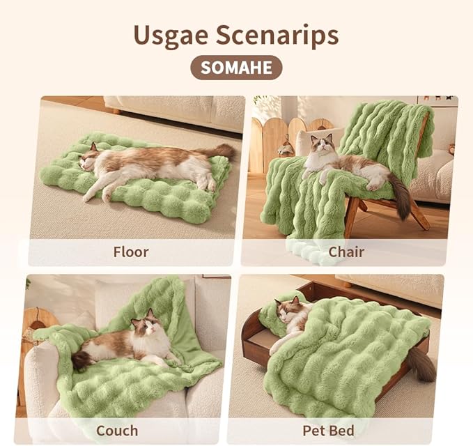Cat Blanket for Indoor Cats Ultra Soft Plush Faux Fur Kitten Blankets Machine Washable Reversible Pet Throw Protector for Couch Furniture 21"X 18"Fruit Green