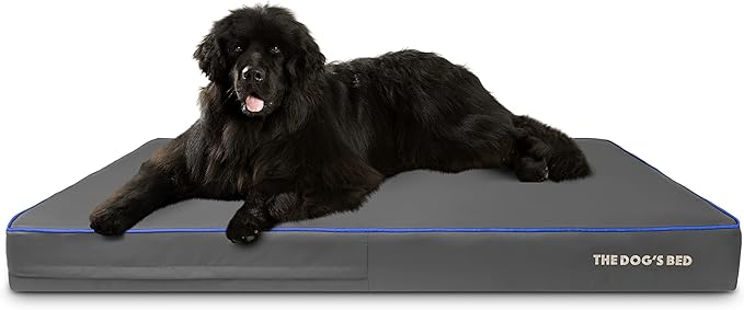 The Dog’s Bed Orthopedic Memory Foam Dog Bed, XXXL Grey/Blue, Pain Relief for Arthritis, Hip & Elbow Dysplasia, Post Surgery, Lameness, Supportive, Calming, Washable Cover, Veterinary Approved