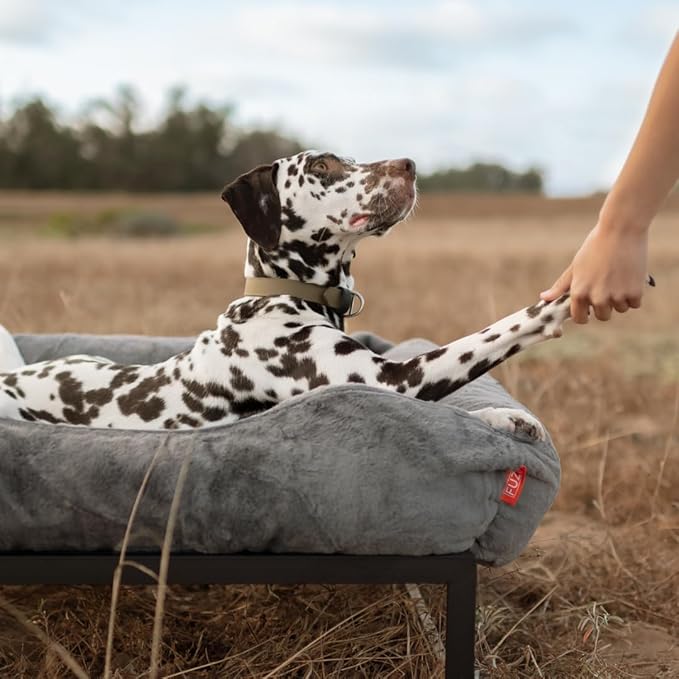 FUZI Elevated Dog Bed Medium with Extra Cover, Luxury Raised Dog Beds, Removable and Machine Washable Bed Cover, Indoor/Outdoor Orthopedic Pet Bed, Medium 31.75x23.6x18 Dark Grey and Black Base