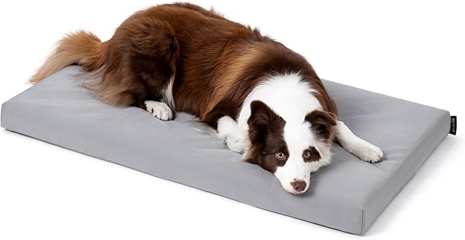 PELZIN Cybarmour Indestructible Dog Bed - Outdoor Waterproof Chew Proof Dog Crate Pad - Orthopedic Kennel Mat for Aggressive Chewers - Large Breeds & Fits 36-Inch Crate - 35"x22", Limestone