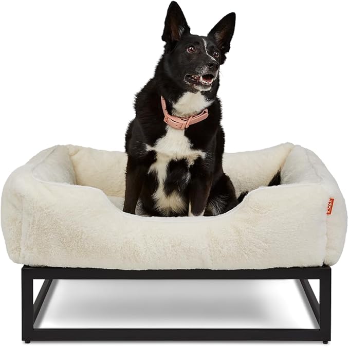 FUZI Dog Bed Elevated Medium, Machine Washable Cover, Indoor/Outdoor Bed, Dogs Couch with Removable Washable Cover, Dog Sofa Medium 31.75x23.6x18 Soft White & Black Base