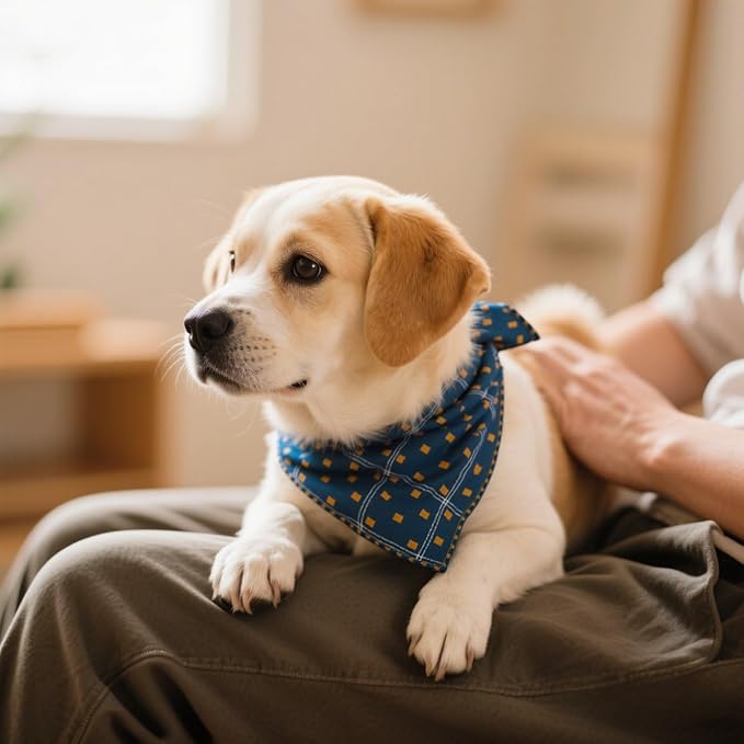 Pemilosci Double Layers Two Tones Dog Cotton Square Bandana Bibs Scarf Kerchief for Small Medium Dogs Boy or Girl - DCB01 B&Y