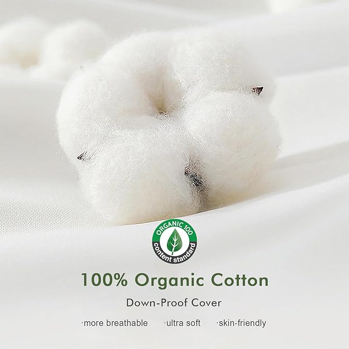 TOPGREEN Feathers Down Pillow Inserts 14x22, Set of 2, 100% Organic Cotton Shell, Soft Decorative Lumbar Pillow Insert for Living Room Sofa, Couch, or Bed (White)