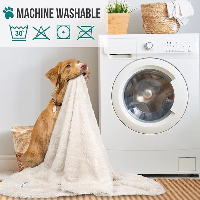 PetAmi Dog Blanket for Small Dogs Beige, Fluffy Soft Puppy Blanket, Sherpa Fleece Cat Blanket for Kitten Doggie, Calming Pet Blanket Throw for Couch Sofa Bed Washable, Small 24x32