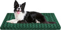 WITTOP Washable Dog Bed Plush Orthopedic Outdoor Crate Mat with Non-Slip Bottom,Luxe Soft Kennel Pad for Pets,Cozy Cage Cushion & Pet Sleeping Mattress Large Sized,Medium,Small Dogs,36 x 24 inch,Green