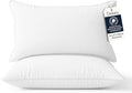 Delara Pillows for Sleeping Set of 2 Bed Pillows, Organic Cotton 300TC Shell, Recycled Down Alternative Fill, Supportive for Back and Side Sleepers, Hypoallergenic & Breathable (Standard 20"X28")