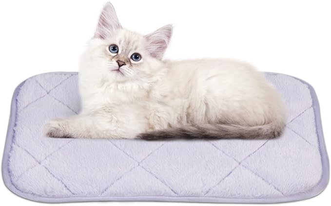 NWK Fluffy Self Warming Cat Mat, Cat Blanket, Thermal Dog Mat, Washable, Non-Slip Bottom for Sofa & Crate & Kennel & Car Seat (Purple, Small (20'' X 16'' X 0.4''))