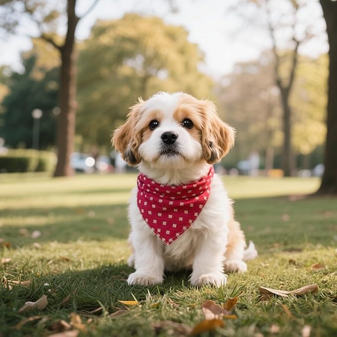 Pemilosci Double Layers Two Tones Dog Cotton Square Bandana Bibs Scarf Kerchief for Small Medium Dogs Boy or Girl - DCB07 R&B