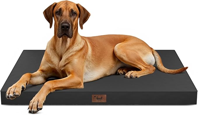 Tail Stories Outdoor Extra Large Dog Bed, Jumbo Waterproof Dog Bed for Large Dogs, Orthopedic Egg Crate Foam Pet Mat with Removable Oxford Cooling Cover, Black
