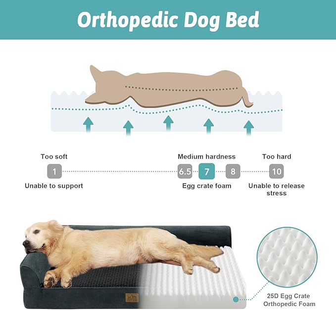 COZY KISS Orthopedic Dog Bed for Medium Small Size Dog, Dogs Crate Bed, L Shaped Foam Anti-Slip Bottom Pet Cat Sofa with Washable Removable Cover, Suitable for Pet Up to 40 lbs, 30x20x6.5 inch, Black
