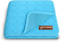 Pelsbarn Dog Cooling Mat- Ice Silk Summer Comfort, Self Cooling, Non-Slip Dog Pad, Durable & Washable, Mat for Small Dogs 18"" x 21"", Support Shelter Dogs with Every Purchase (Blue)