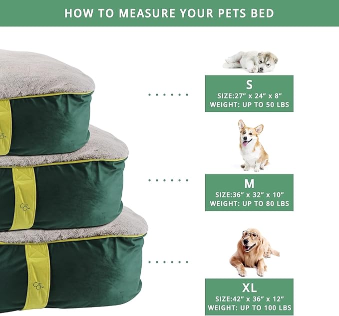 CozyOne Mia Collection Self-Warming Oval Dog Bed - Ultra-Soft Plush Dream Pet Bed with Removable Velvet Cover - Cozy Dog Beds for X Large Dogs (42x36x12 Inch, Green) - Made in USA