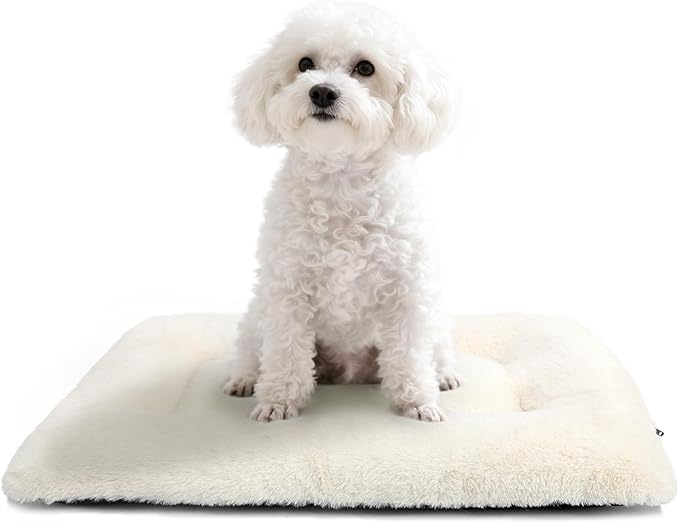 zihapgpzp Crate Beds for Small Dogs Ultra Soft Cat Bed for Indoor Cats Washable & Anti-Slip XS Kennel Pads for Crates 22 Inch Fluffy Comfy Pet Sleeping Mat for Puppy and Kitten,Beige