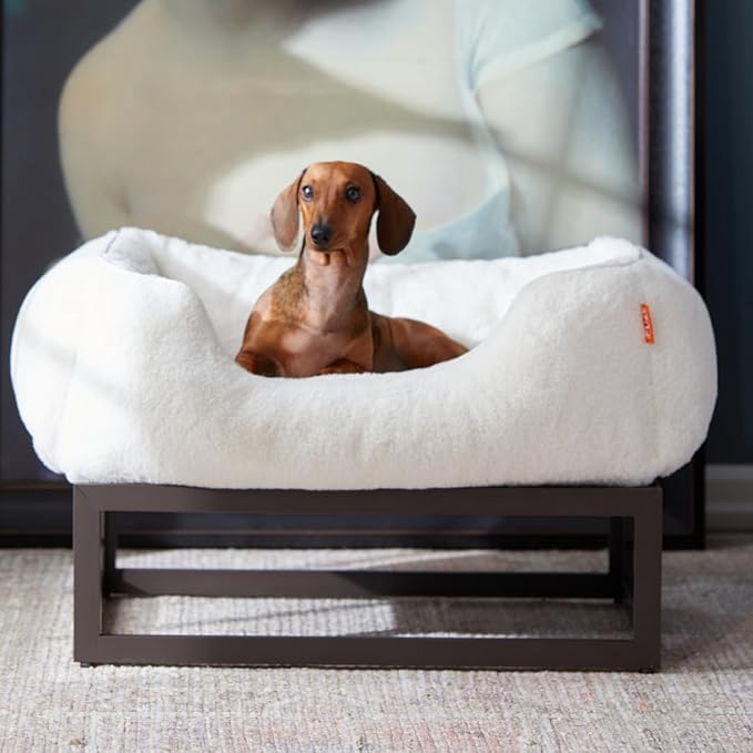 FUZI Elevated Dog Bed Small, Luxury Raised Dog Beds, Removable and Machine Washable Bed Cover, Indoor/Outdoor Orthopedic Pet Bed, Small 25.1x16.75x18 Soft White & Dark Brown Base