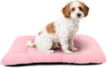 Pink Dog Bed for Crate or Cage 22 Inch for Extra Small Dogs,Soft Fluffy Comfy Cute Crate Beds Washable & Anti-Slip Pet Kennel Pad for Puppy and Cats Cozy Sleeping Mat, (22" x 13", XS-Baby)